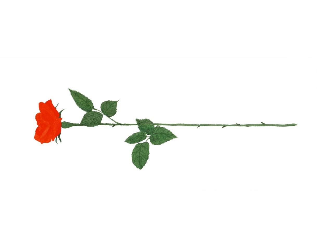 #1 "ROSE"